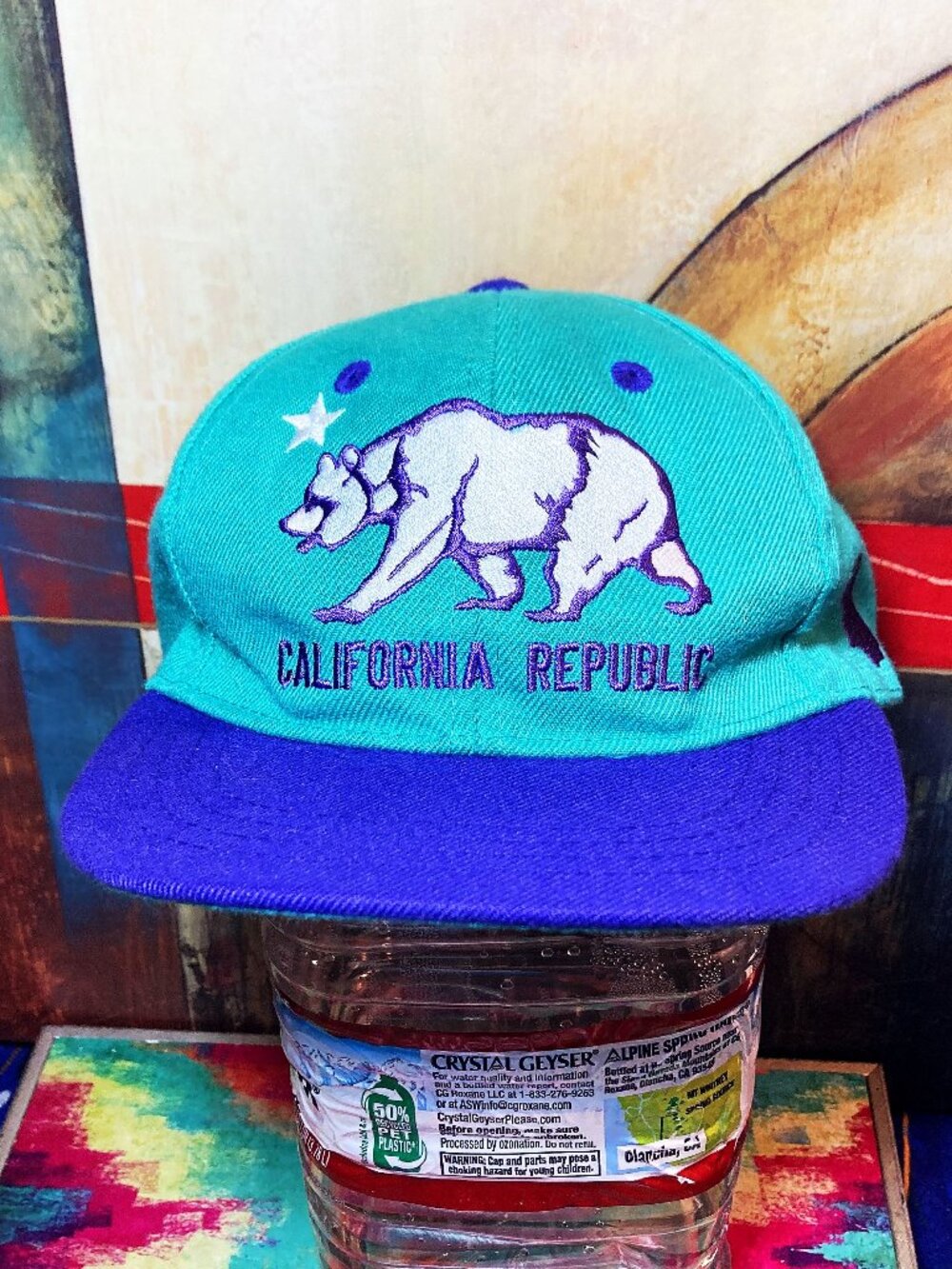MEN'S CALIFORNIA REPUBLIC HAT ADJUSTABLE ONE SIZE SNAPBACK 2-TONE FLAT CAP